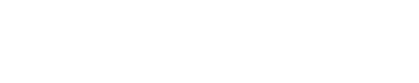 carrer excellence hubs logo