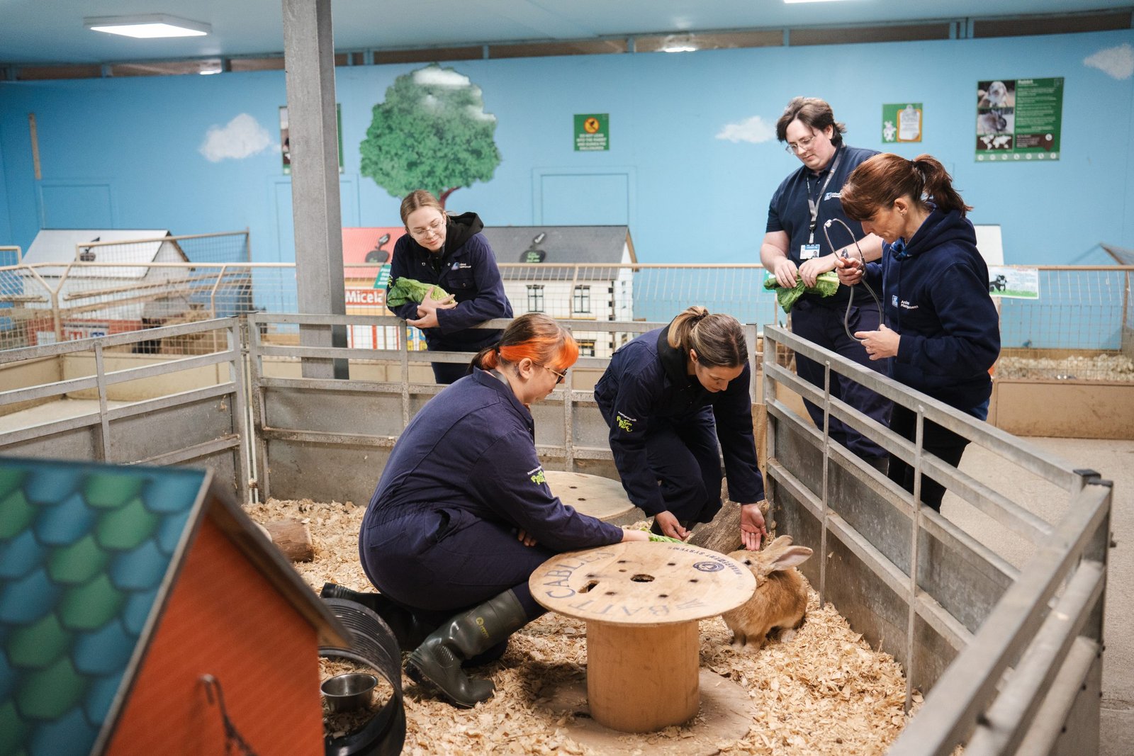 Featured image for “Eve Shows Enthusiasm and Academic Progress”