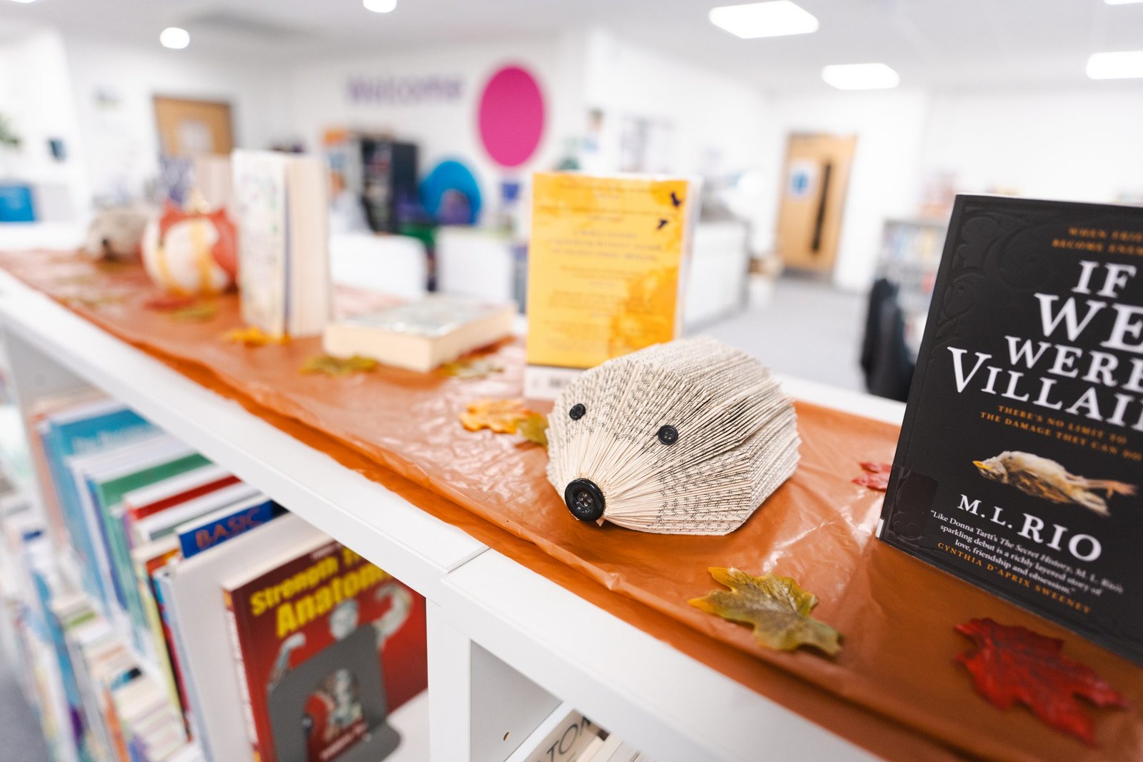 The library at UCW's Winter Gardens