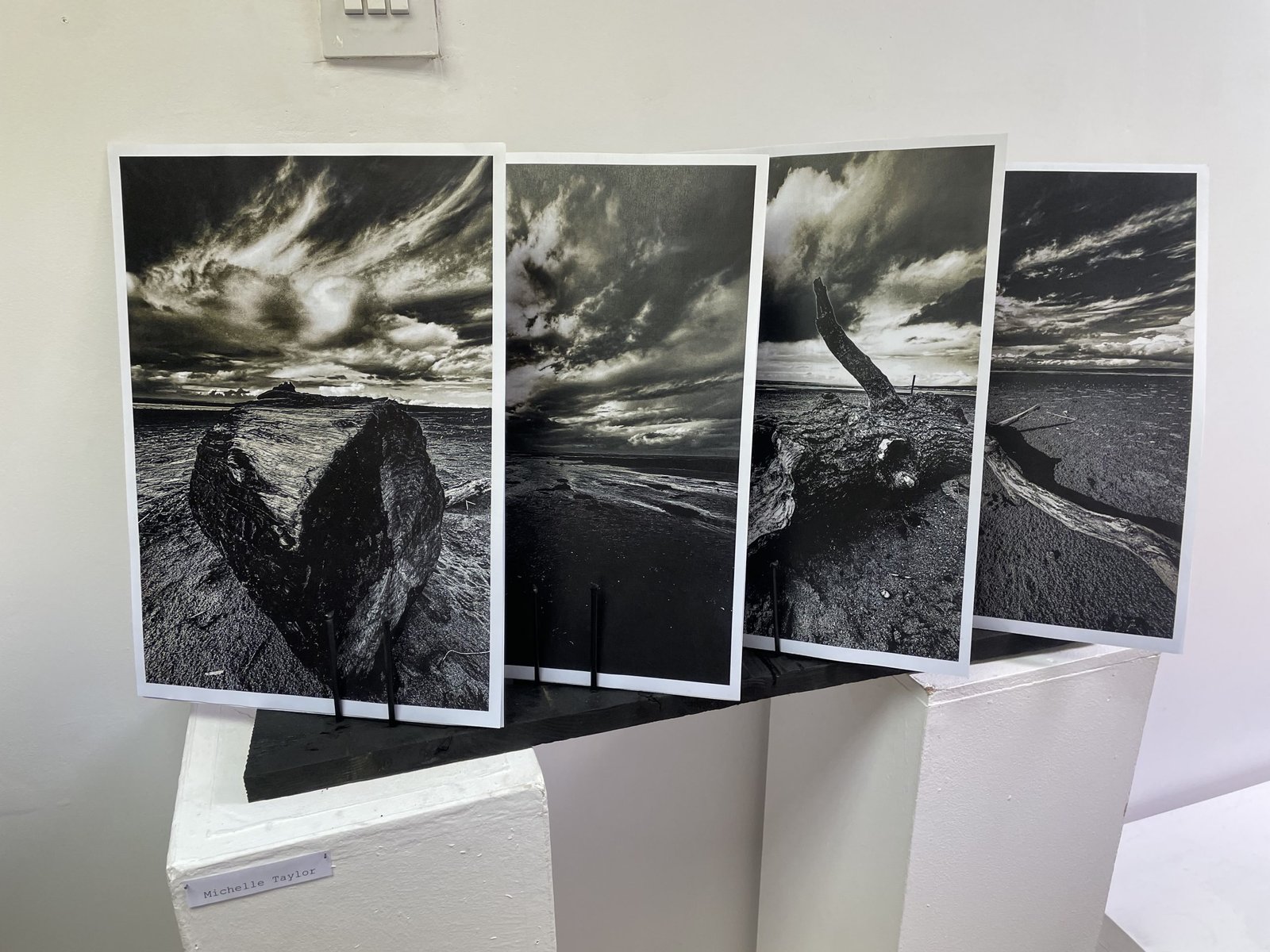 Art exhibited in the Art Exhibition